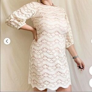Eliza J Lace Shift Dress Womens‎ 16W White Blush Scalloped 3/4 Sleeve EJ9W1814